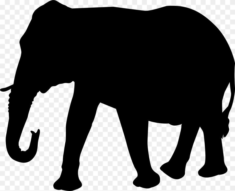 Elephant Indian Elephant, Silhouette, Lighting Free Transparent Png