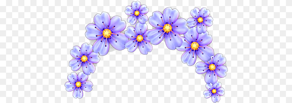 Emoji Flower Crown, Plant, Purple, Anther, Anemone Free Transparent Png