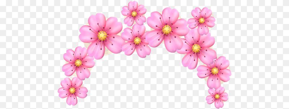 Transparent Emoji Flower Crown, Plant, Flower Arrangement, Geranium, Petal Free Png