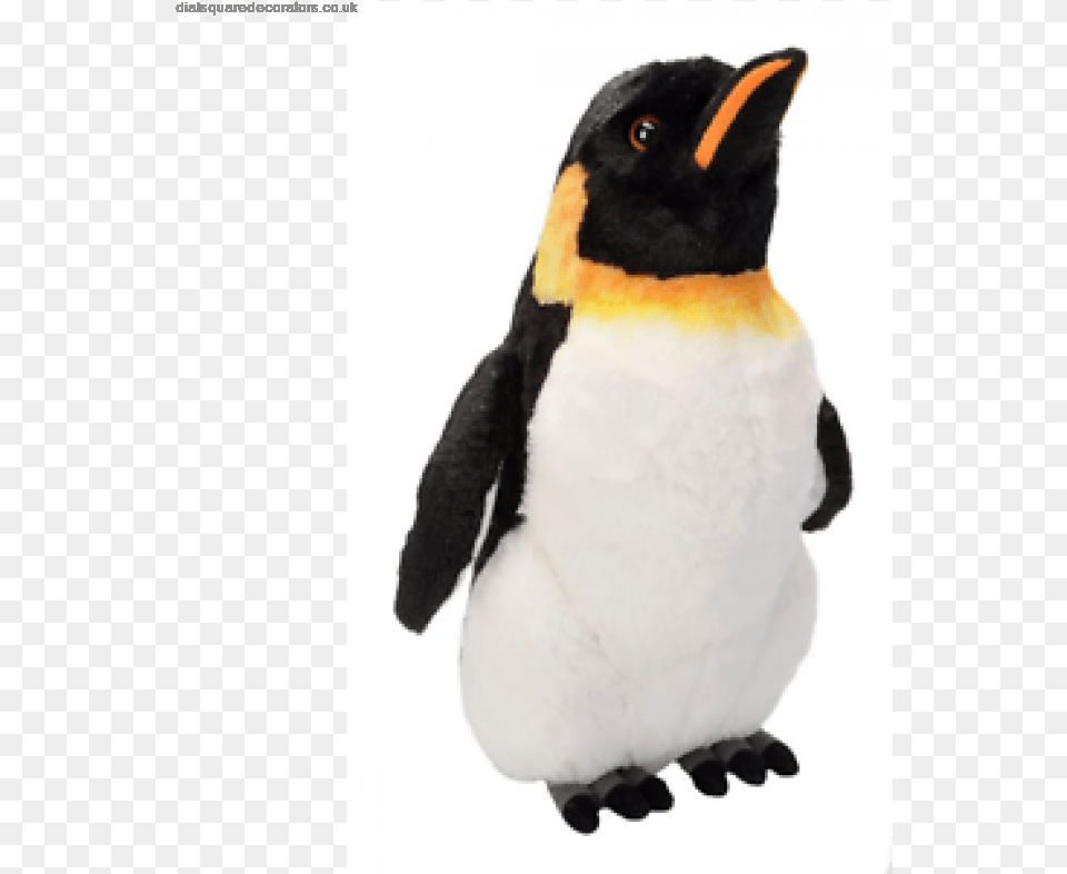 Transparent Emperor Penguin Wild Republic Penguin, Animal, Bird, King Penguin Png Image