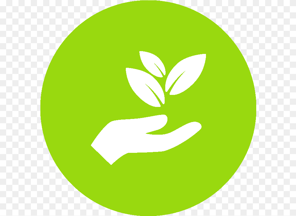 Transparent Environment Icon Green Marketing Icon, Plant, Herbal, Herbs, Leaf Free Png Download