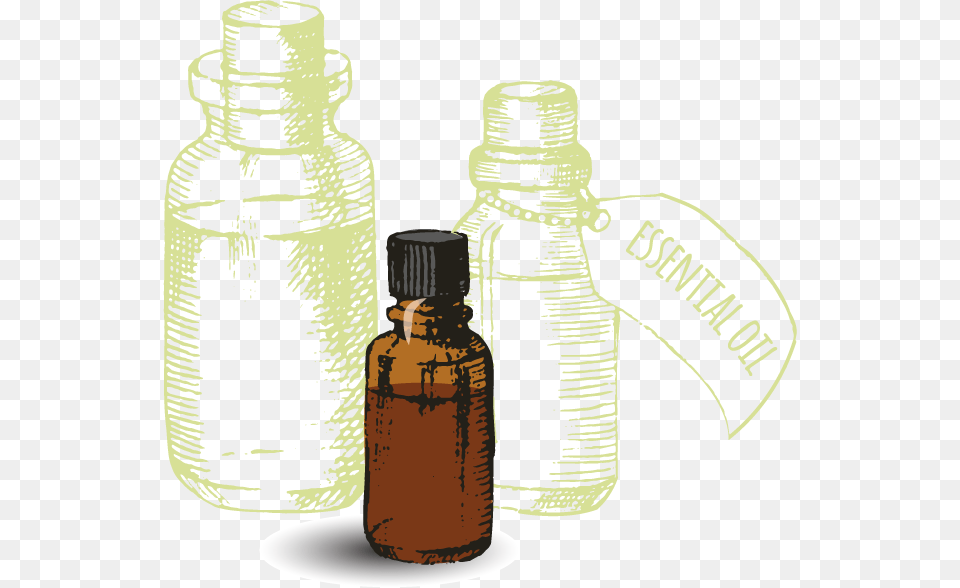 Transparent Essential Oil Essential Oil, Bottle, Cosmetics, Perfume, Person Png