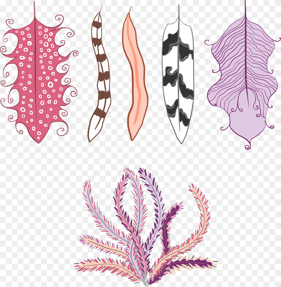 Transparent Ethnic Clipart Plumas Hippie, Leaf, Pattern, Plant, Art Png