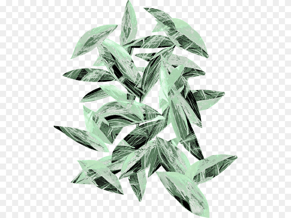 Transparent Eucalyptus Leaves Russian Olive, Crystal, Mineral, Accessories, Aircraft Png Image