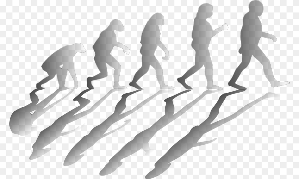 Transparent Evolve Evolucion, People, Person, Silhouette, Baby Png Image