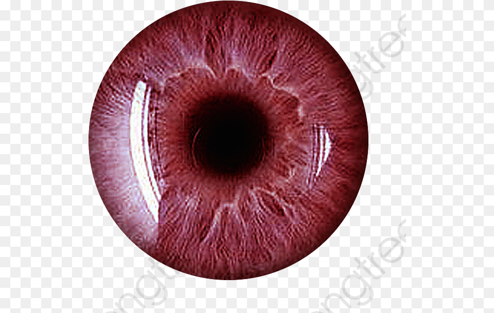 Eye Iris Red Eye Lens, Astronomy, Moon, Nature, Night Free Transparent Png