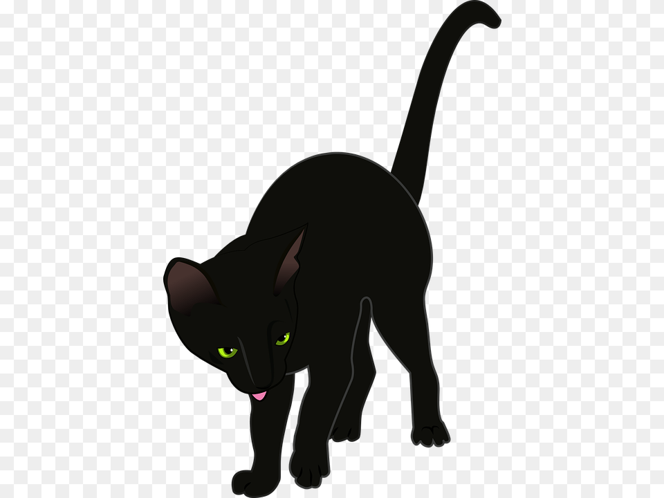 Eye Vector Clipart Katze Animal, Cat, Mammal, Pet Free Transparent Png