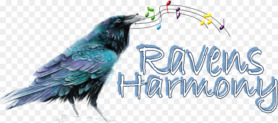 Transparent Fable Clipart Music Notes, Animal, Beak, Bird, Blackbird Png Image