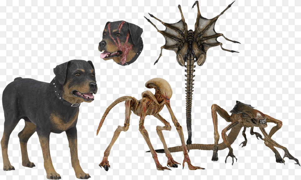 Transparent Facehugger Neca Alien 3 Creature Pack, Animal, Canine, Dog, Mammal Png Image