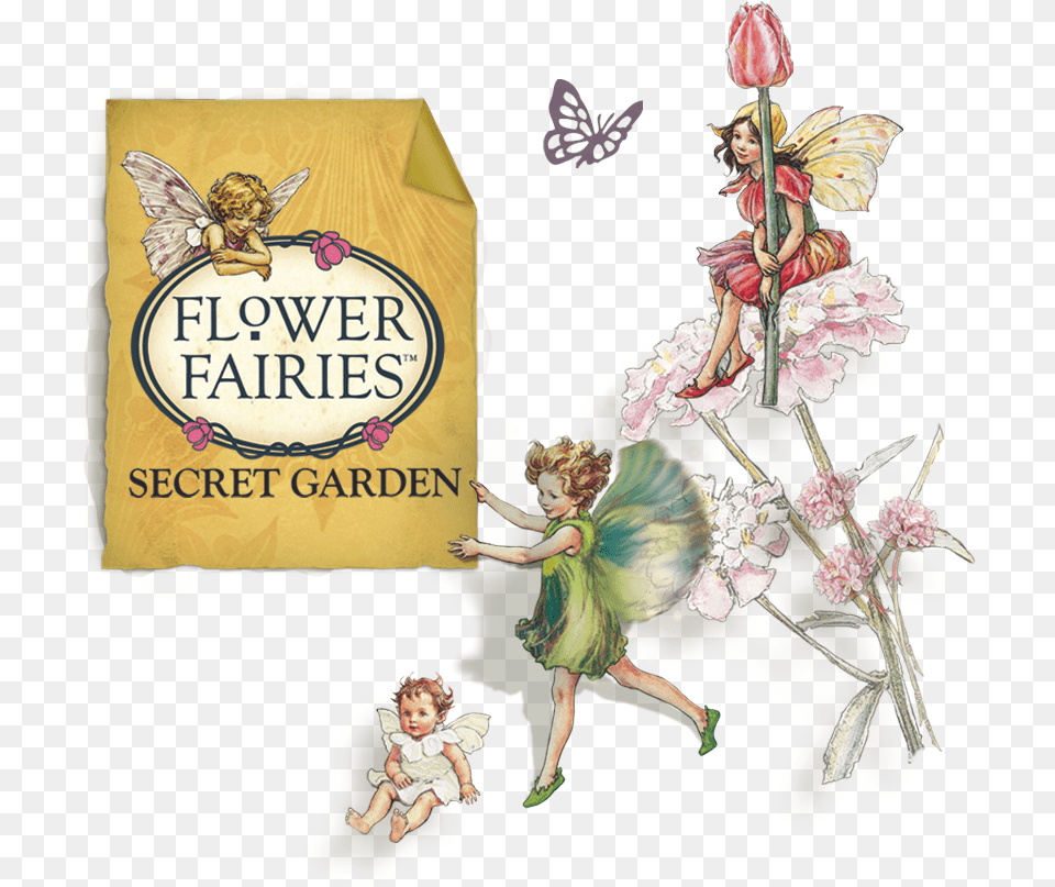 Transparent Fairy Images Flower Fairies, Publication, Book, Adult, Person Free Png Download