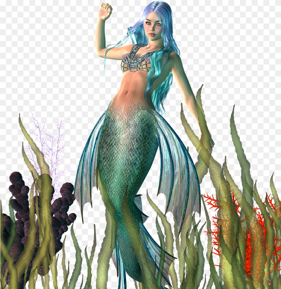 Transparent Fairy Mermaid, Adult, Female, Person, Woman Png Image