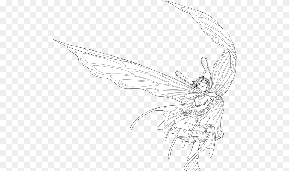 Transparent Fairy Wings, Book, Comics, Publication, Person Free Png Download