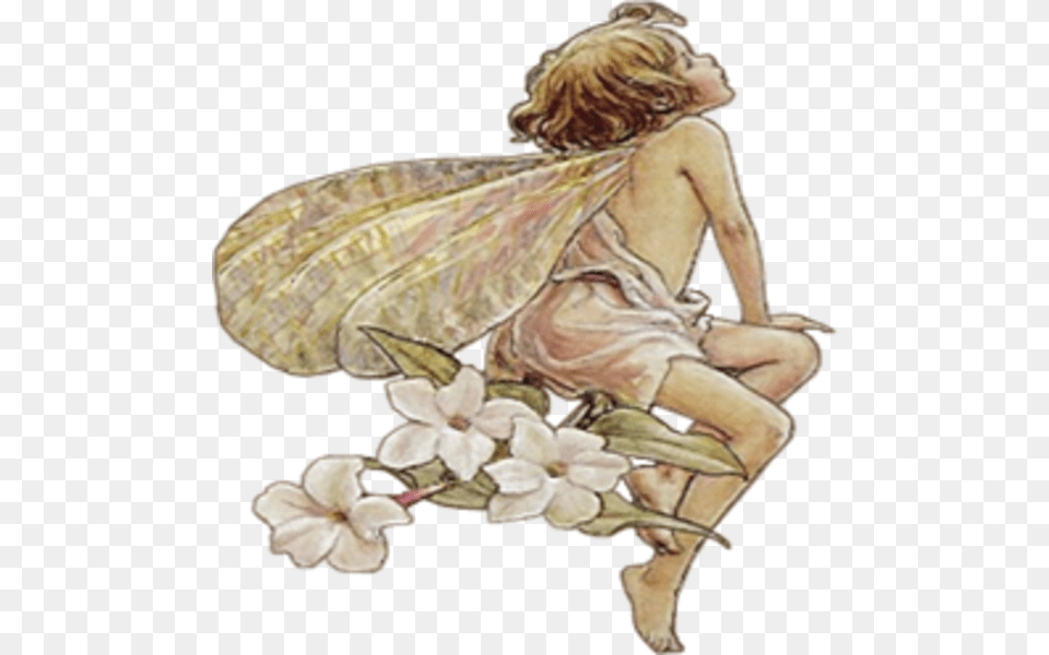 Transparent Fairy Wings Clipart Public Domain Flower Fairy, Art, Painting, Adult, Female Free Png