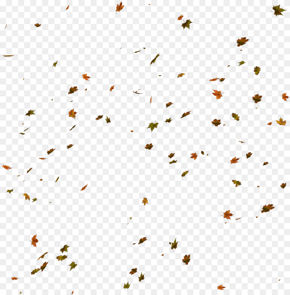 Fall Background Fall Leaves Background, Paper, Confetti, Plant Free Transparent Png