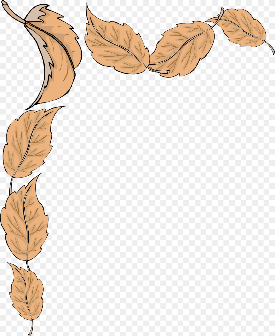 Transparent Fall Clipart Fall Leaves Border, Rope, Person, Home Decor, Face Free Png