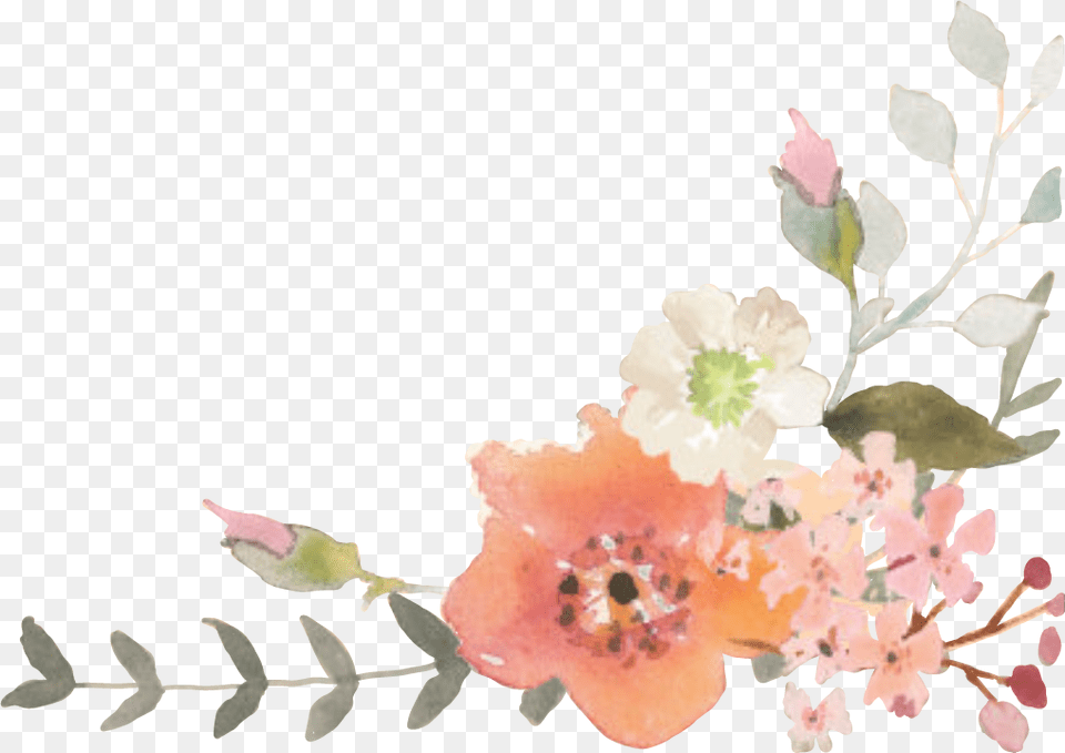 Transparent Fall Flower Autumn Watercolor Flowers, Plant, Petal, Pattern, Graphics Png