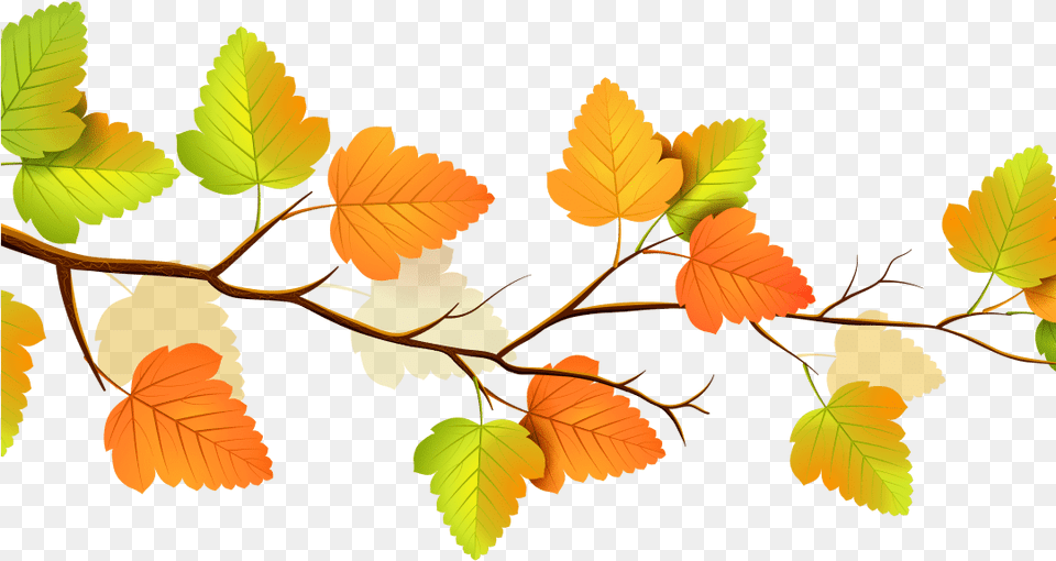 Transparent Fall Flowers Clipart Fall Leaves Transparent Background, Leaf, Plant, Tree Free Png