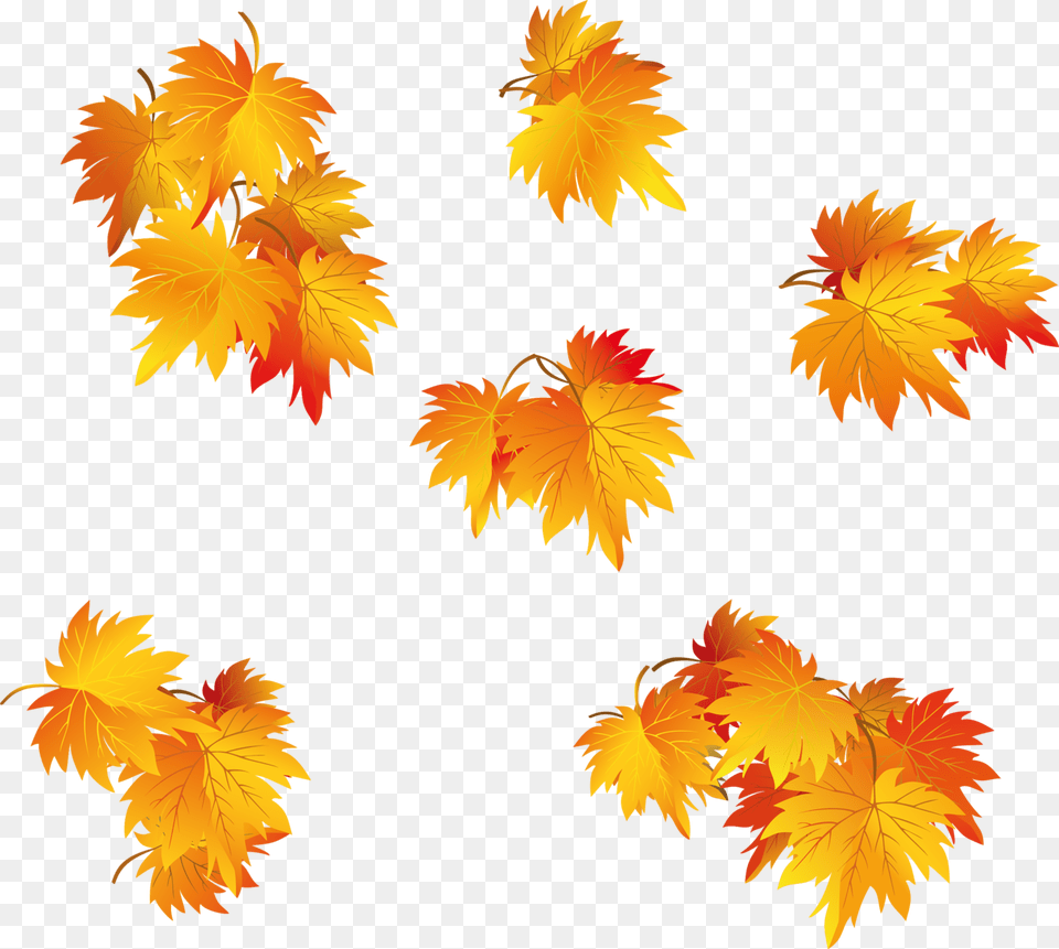 Transparent Fall Leaf Clip Art Feuille Arbre, Plant, Tree, Maple Png