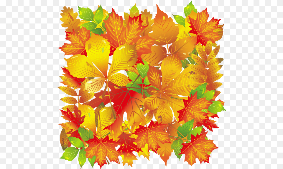 Transparent Fall Leaves Autumn Subway Art Leaf, Plant, Tree, Maple, Maple Leaf Free Png Download