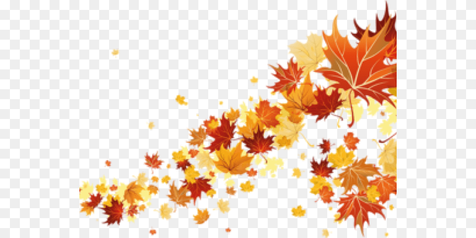 Transparent Fall Leaves Border, Leaf, Maple, Plant, Tree Png Image