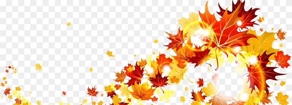 Transparent Fall Leaves Border, Leaf, Plant, Art, Graphics Png Image