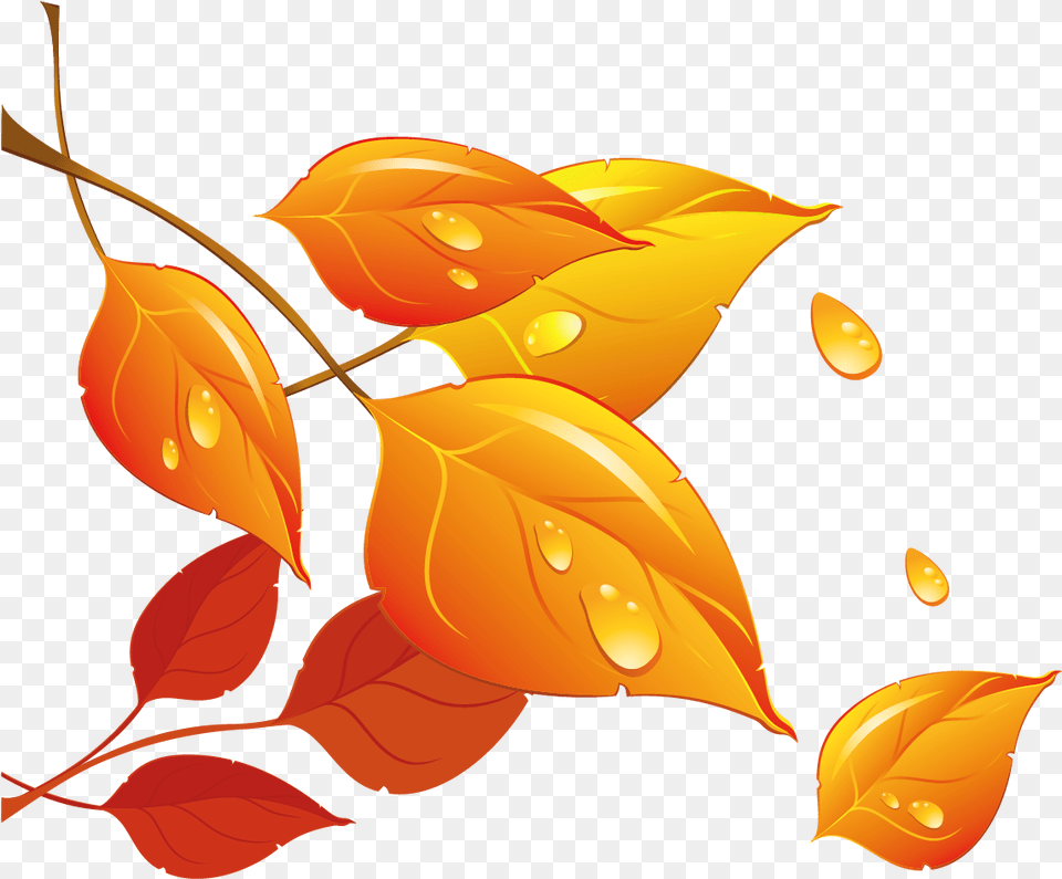 Transparent Fall Leaves Clipart Download Fall Leaf Transparent Cartoon, Plant, Art, Graphics, Helmet Png