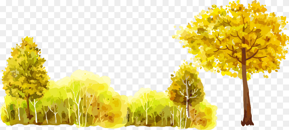 Transparent Fall Watercolor Tree Oil Painting, Vegetation, Plant, Outdoors, Landscape Png