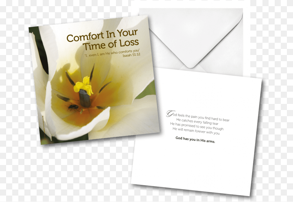 Transparent Falling Cards Cattleya, Advertisement, Envelope, Mail, Poster Free Png