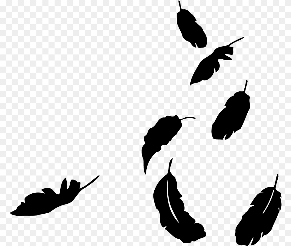 Transparent Falling Feathers, Gray Free Png