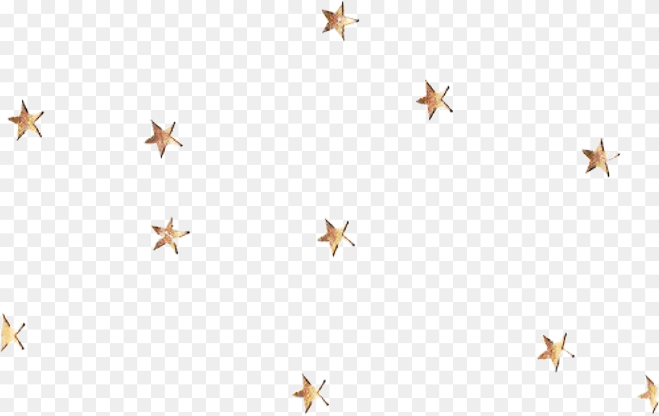 Transparent Falling Stars Clipart Gold Star Sticker, Star Symbol, Symbol, Animal, Bird Free Png Download