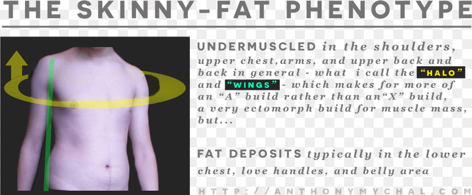 Fat Guy Skinny Fat, Chart, Plot, Adult, Male Free Transparent Png
