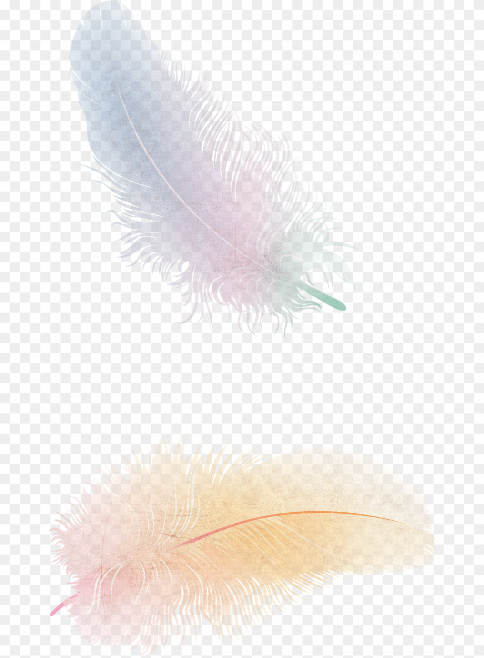 Transparent Feather, Bottle Png Image