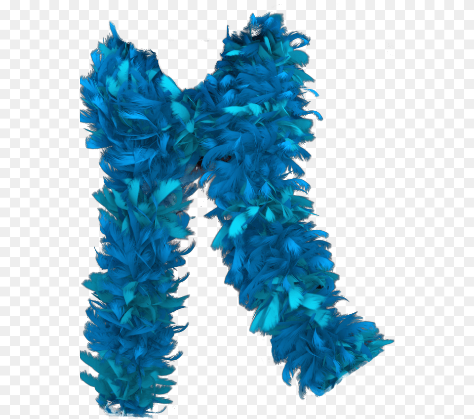 Transparent Feather Boa Paper, Accessories, Plant, Feather Boa Free Png Download