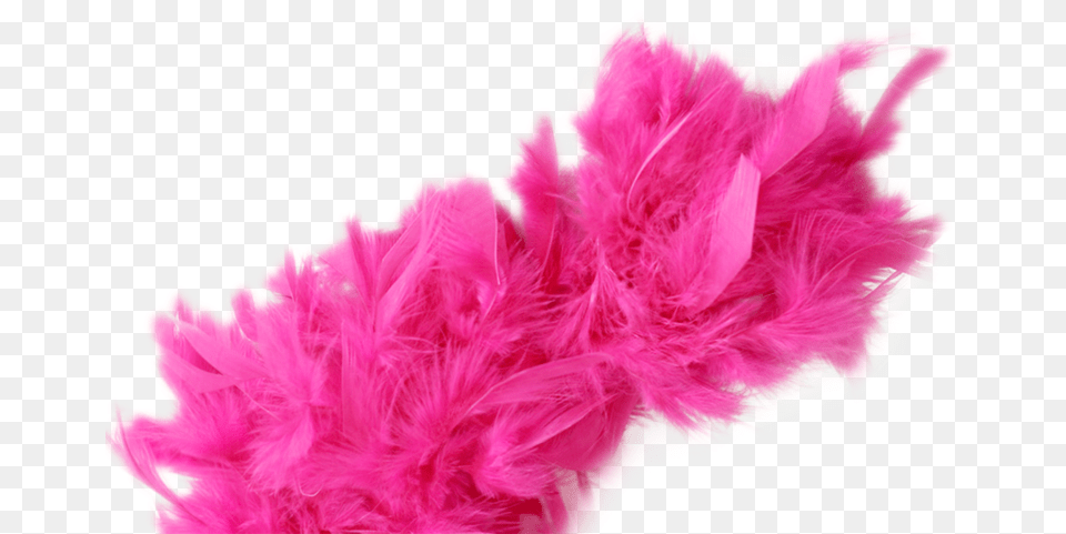 Transparent Feather Boa Pink Feather Boa, Accessories, Feather Boa, Flower, Plant Png Image