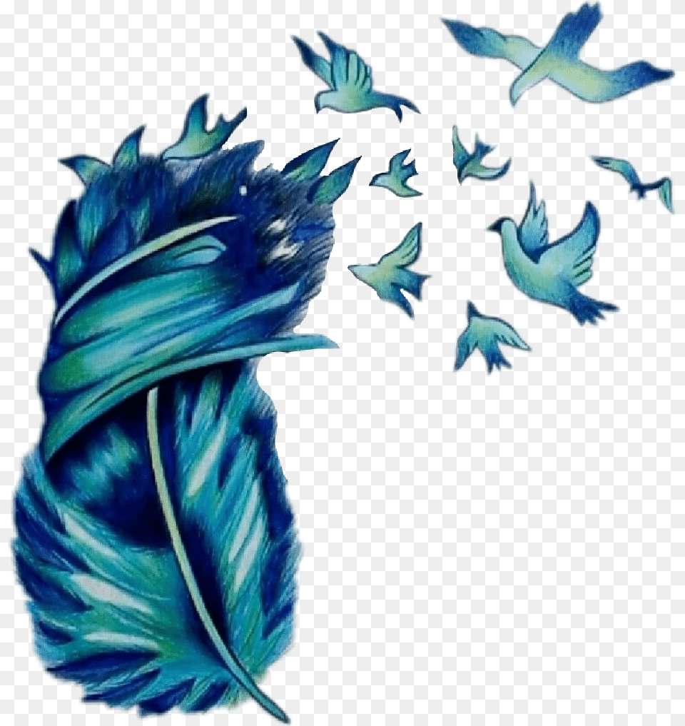 Transparent Feather Drawing Birds And Feathers Art, Animal, Bird, Person Png Image