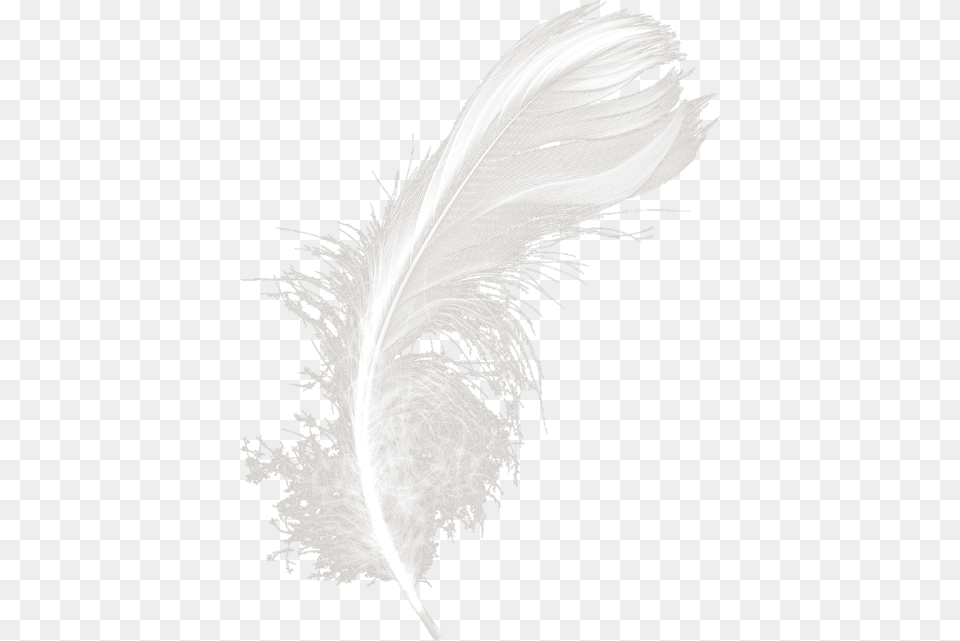 Transparent Feather Duster Night, Accessories, Person Png Image