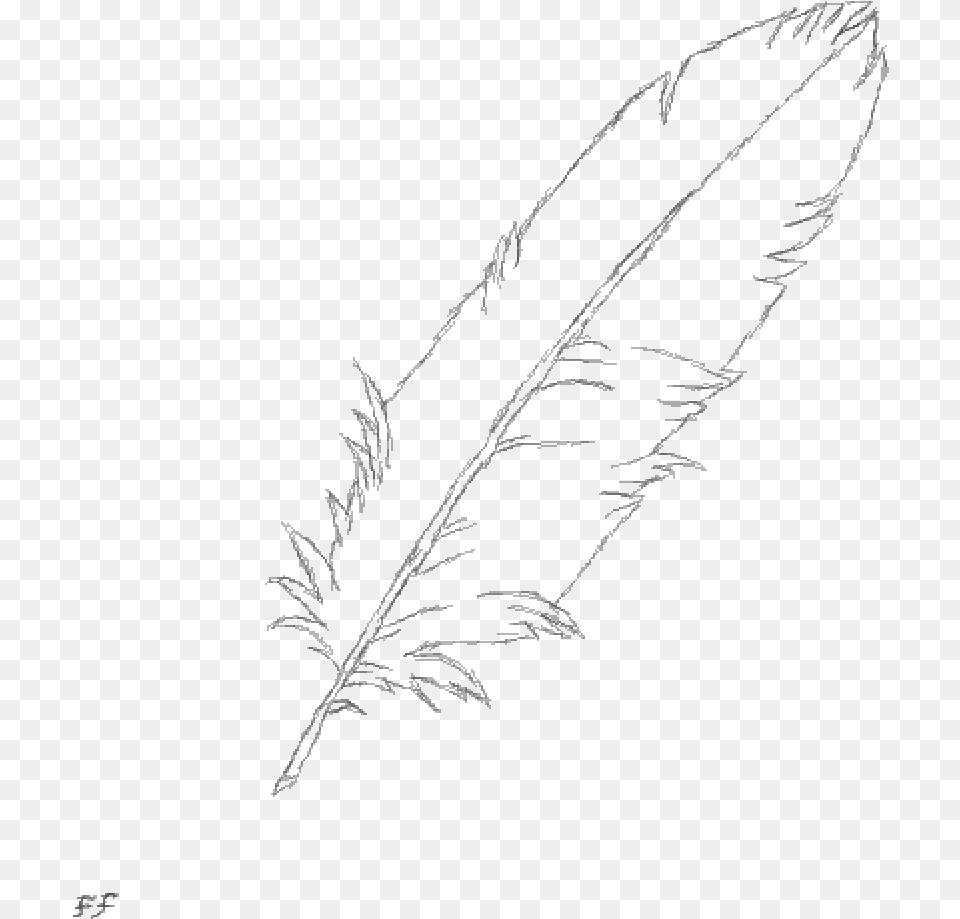 Transparent Feather Duster Sketch, Gray Free Png Download