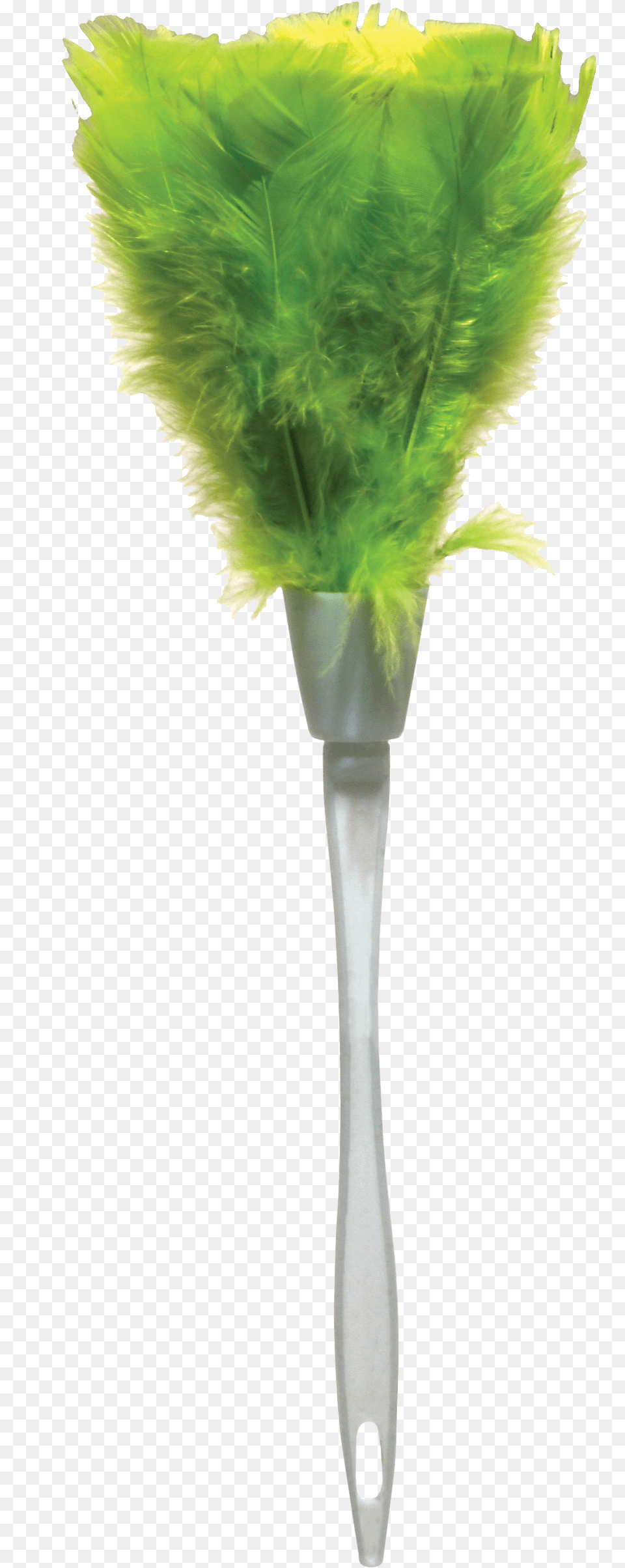 Transparent Feather Duster Vase, Plant, Brush, Device, Leaf Free Png