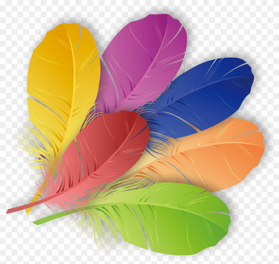 Transparent Feather Icon Free Png