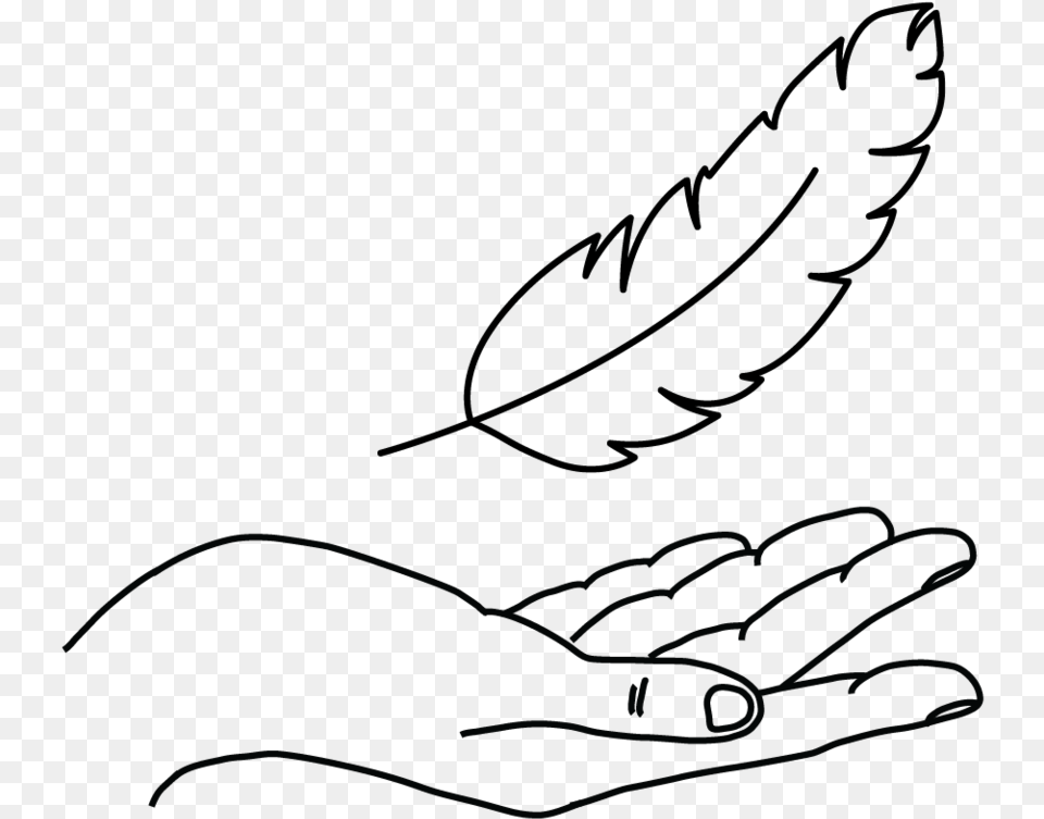 Feather Icon Line Art Free Transparent Png