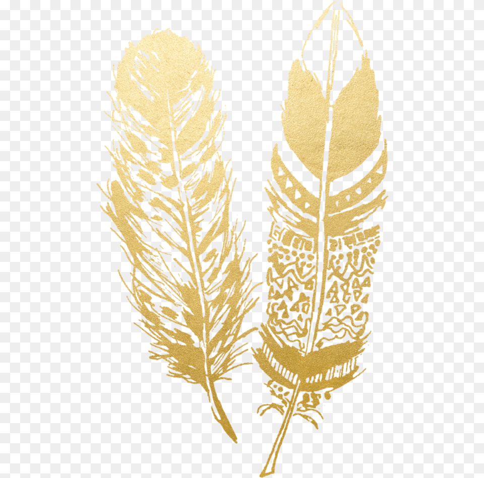 Transparent Feather Transparent Transparent Gold Feather, Leaf, Plant, Person, Grass Free Png