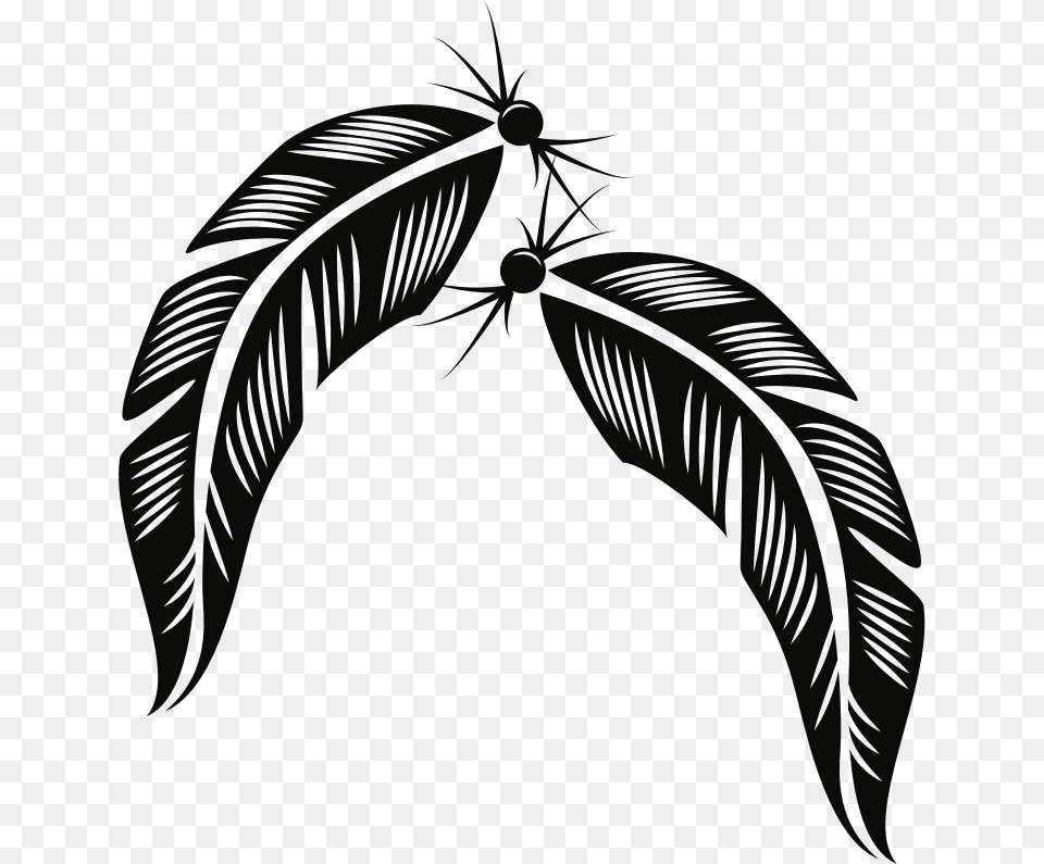 Transparent Feather Vector, Leaf, Plant, Art, Drawing Free Png Download