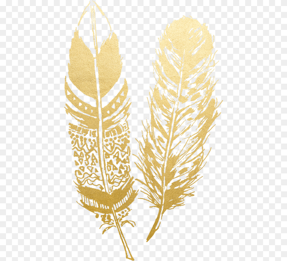Feathers Gold Gold Feather, Leaf, Plant, Accessories, Wildlife Free Transparent Png