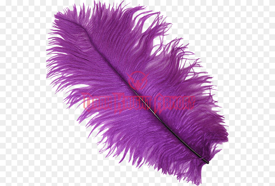 Transparent Feathers Wispy Transparent Background Purple Feather, Accessories, Leaf, Plant Png