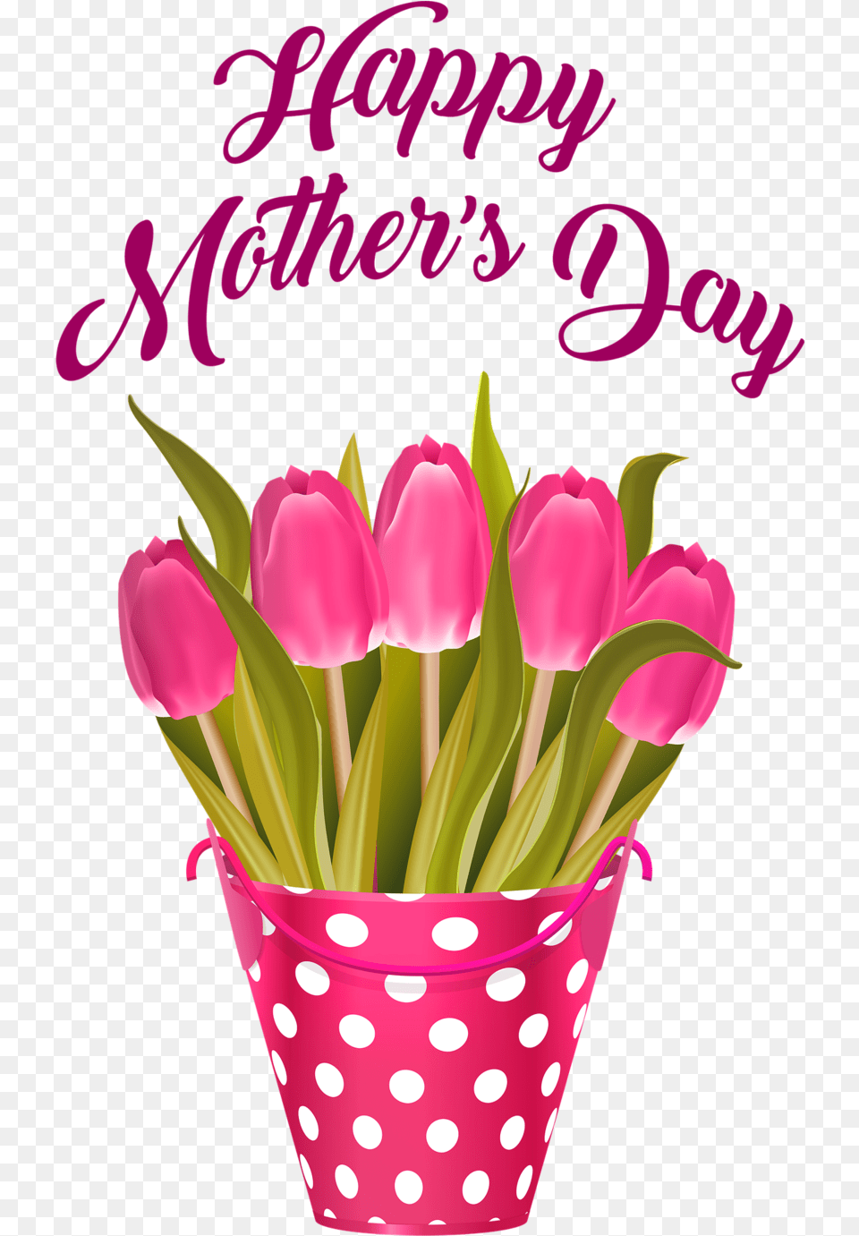 Transparent Feliz Dia De Las Madres, Flower, Plant, Petal, Pattern Free Png