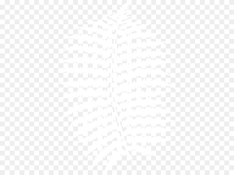 Transparent Fern Fern Leaves White, Cutlery Png