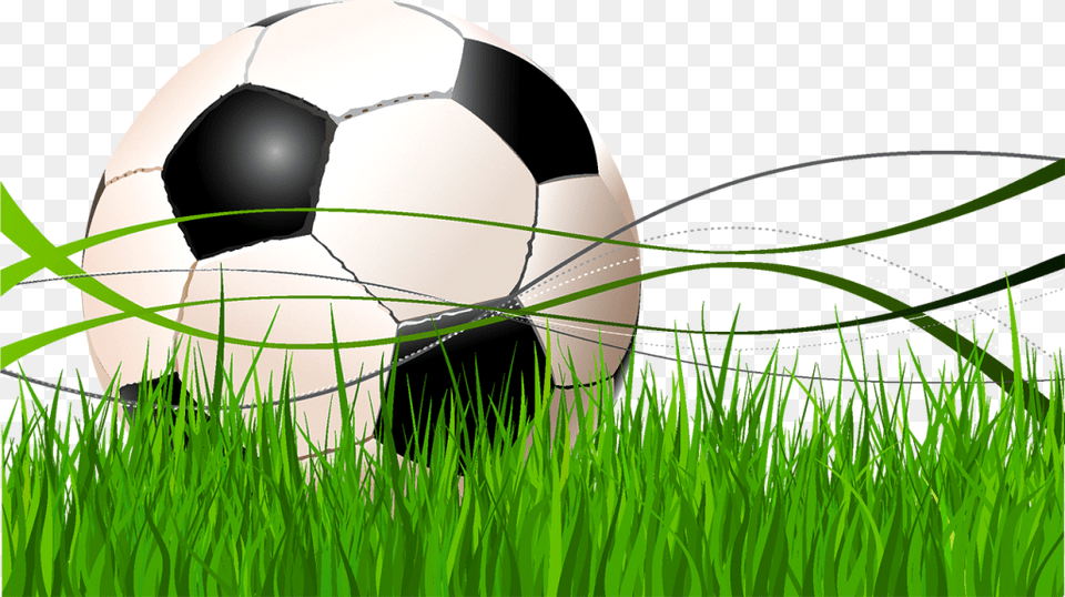 Transparent Field Free Football Background Vector, Ball, Soccer, Soccer Ball, Sport Png