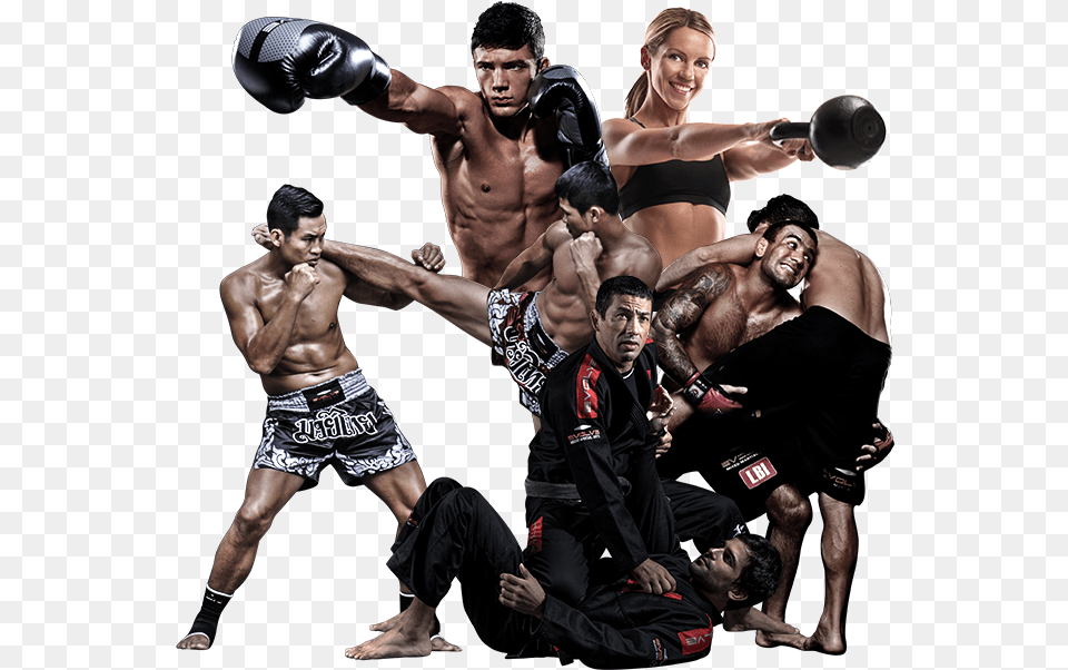 Transparent Fight Mixed Martial Arts, Adult, Person, Man, Male Png