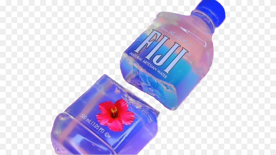 Transparent Fiji Bottle Vaporwave Fiji Water, Water Bottle, Flower, Plant, Food Png