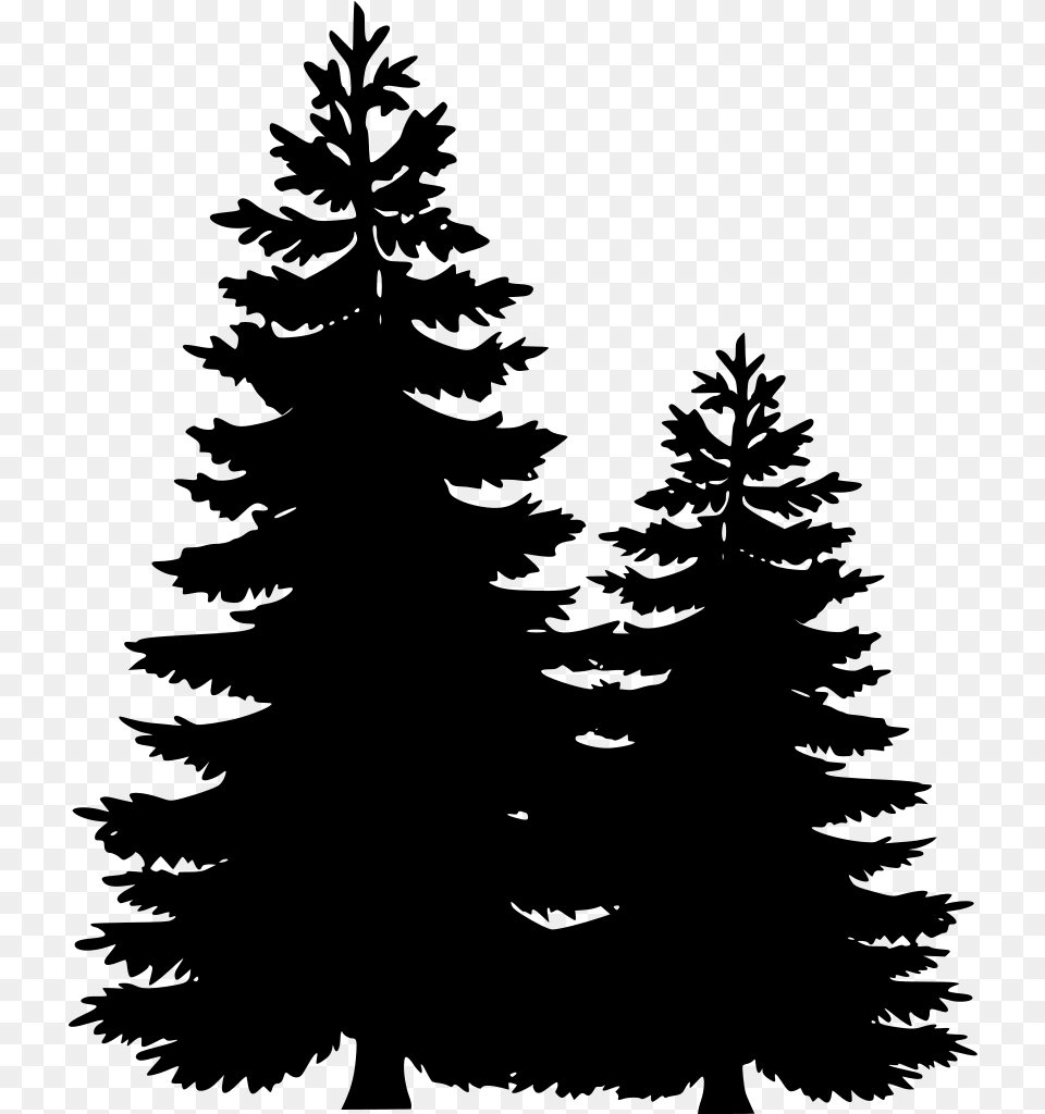 Fir Branch Pine Tree Clipart, Gray Free Transparent Png